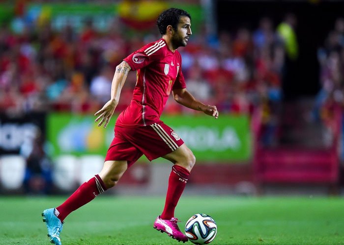 Diusik Cedera, Spanyol Abaikan Fabregas