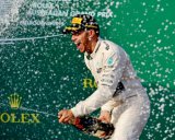 Serba Mulus, Seri Pembuka Milik Hamilton