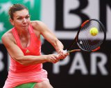 Di Prancis, Halep Ngebet Gelar Pertama