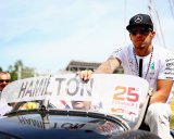 Salah Strategi, Dalih Hamilton Gagal Juara 