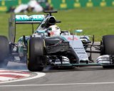 Pole GP Kanada, Momen Spesial Hamilton