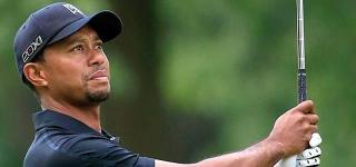 9 di Bawah Par 61, Woods Meraja