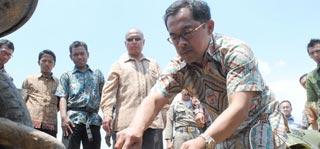 ASIFA, Gereget Aji Tempa Usia Muda