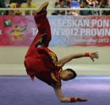 Wushu