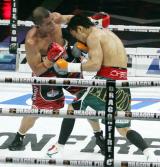 Tinju WBA CHRIS JOHN VS SATOSHI HOSONO