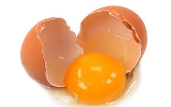 Jangan Takut Makan Telur!
